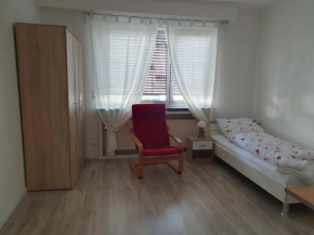 Helles Privatzimmer an der Uniklinik Mainz - Schlesisches Viertel
